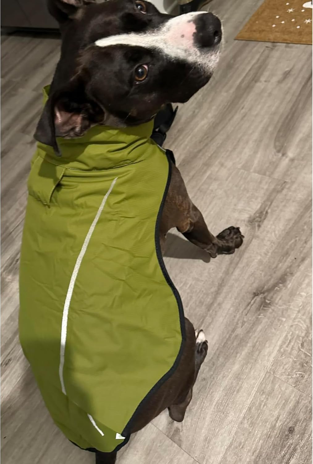 Dog Raincoat, Adjustable Waterproof Reflective Rain Jacket for Small Medium Large Dogs, Lightweight Breathable Pet Rain Coat with Leash Hole(Blue,M Chest 26-32")