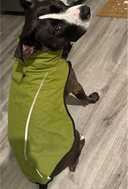 Dog Raincoat, Adjustable Waterproof Reflective Rain Jacket for Small Medium Large Dogs, Lightweight Breathable Pet Rain Coat with Leash Hole(Blue,M Chest 26-32")