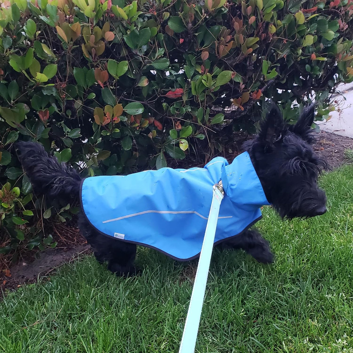 Dog Raincoat, Adjustable Waterproof Reflective Rain Jacket for Small Medium Large Dogs, Lightweight Breathable Pet Rain Coat with Leash Hole(Blue,M Chest 26-32")