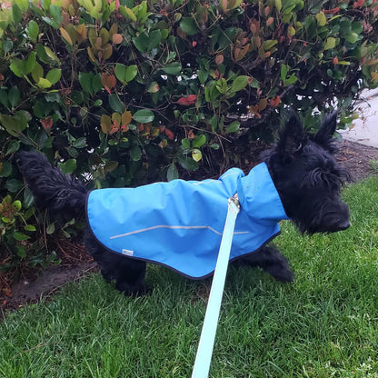 Dog Raincoat, Adjustable Waterproof Reflective Rain Jacket for Small Medium Large Dogs, Lightweight Breathable Pet Rain Coat with Leash Hole(Blue,M Chest 26-32")