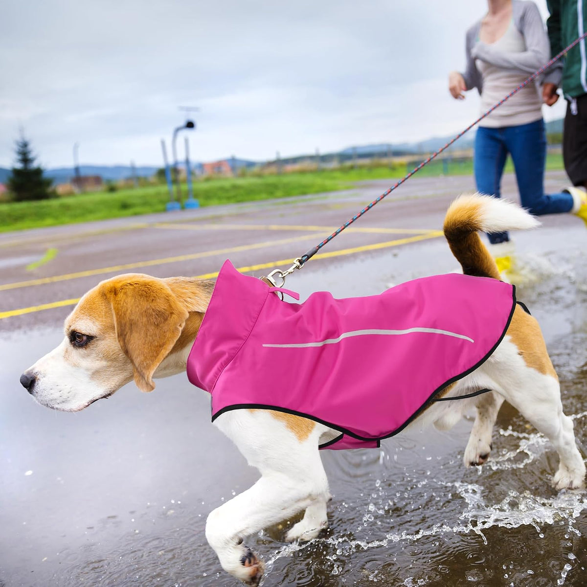Dog Raincoat, Adjustable Waterproof Reflective Rain Jacket for Small Medium Large Dogs, Lightweight Breathable Pet Rain Coat with Leash Hole(Blue,M Chest 26-32")