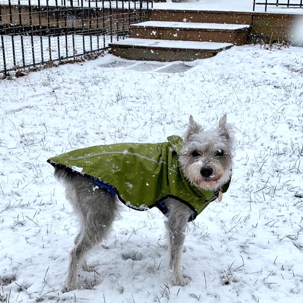 Dog Raincoat, Adjustable Waterproof Reflective Rain Jacket for Small Medium Large Dogs, Lightweight Breathable Pet Rain Coat with Leash Hole(Blue,M Chest 26-32")
