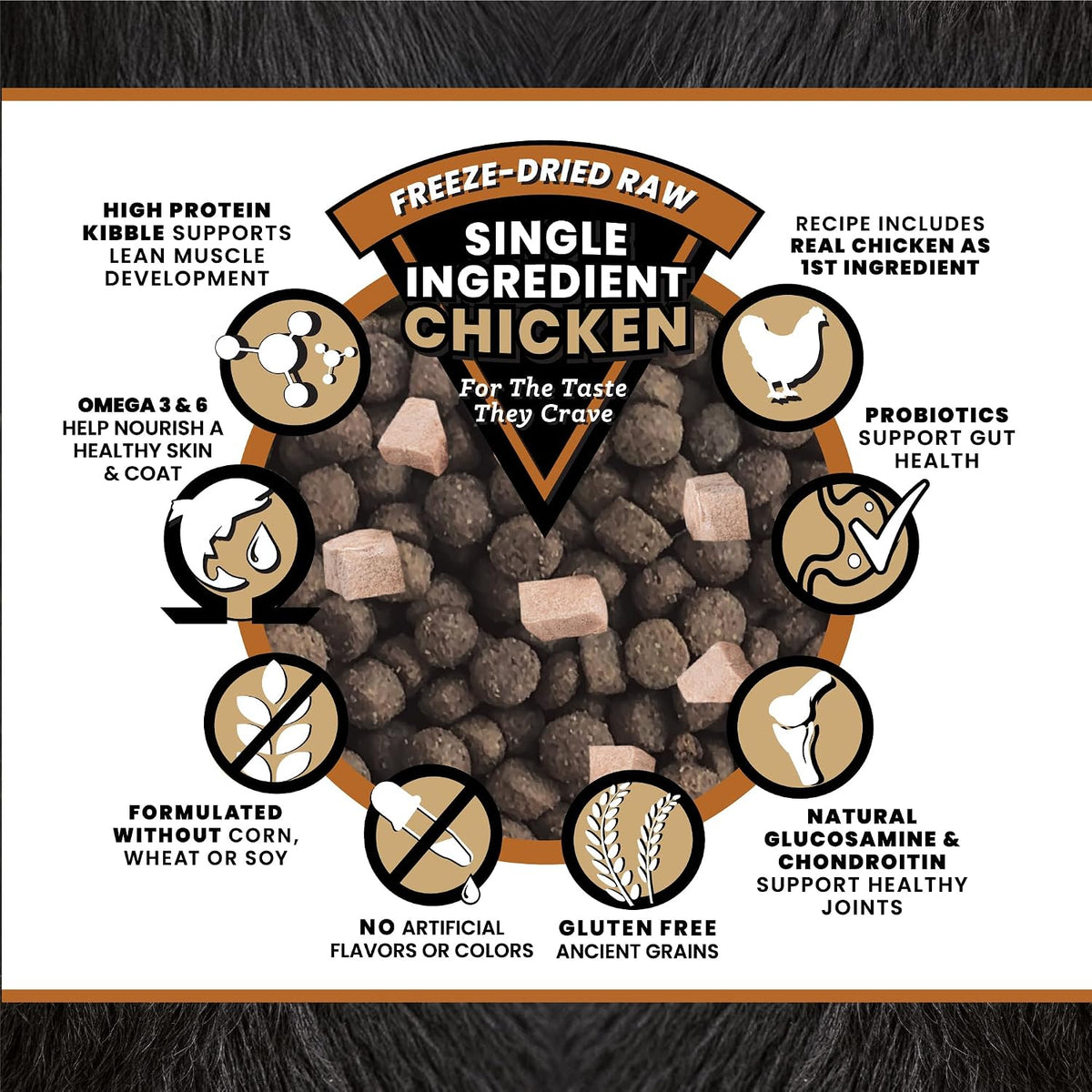 Raw Kibble Blend - Farm Chicken Freeze-Dried Dry Dog Food, 4 lb