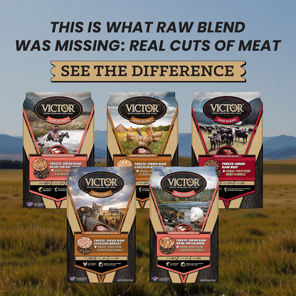 Raw Kibble Blend - Farm Chicken Freeze-Dried Dry Dog Food, 4 lb