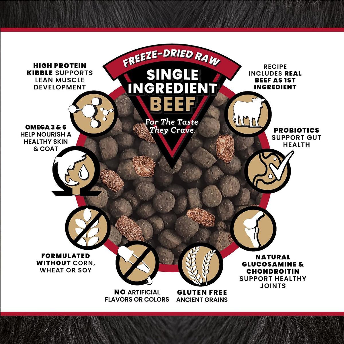 Raw Kibble Blend - Farm Chicken Freeze-Dried Dry Dog Food, 4 lb