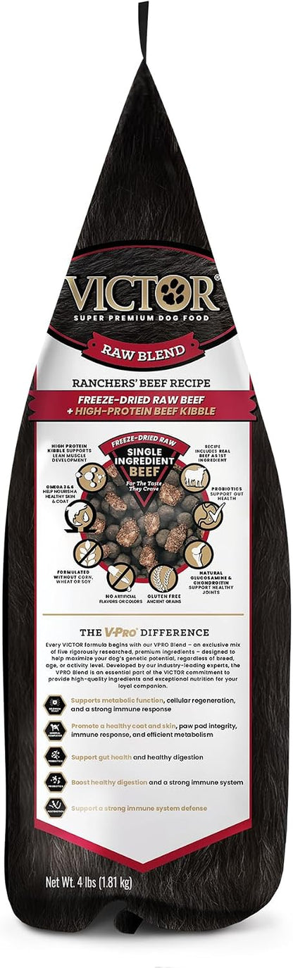 Raw Kibble Blend - Farm Chicken Freeze-Dried Dry Dog Food, 4 lb