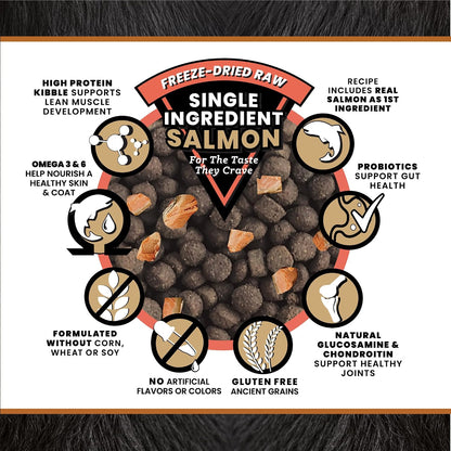 Raw Kibble Blend - Farm Chicken Freeze-Dried Dry Dog Food, 4 lb
