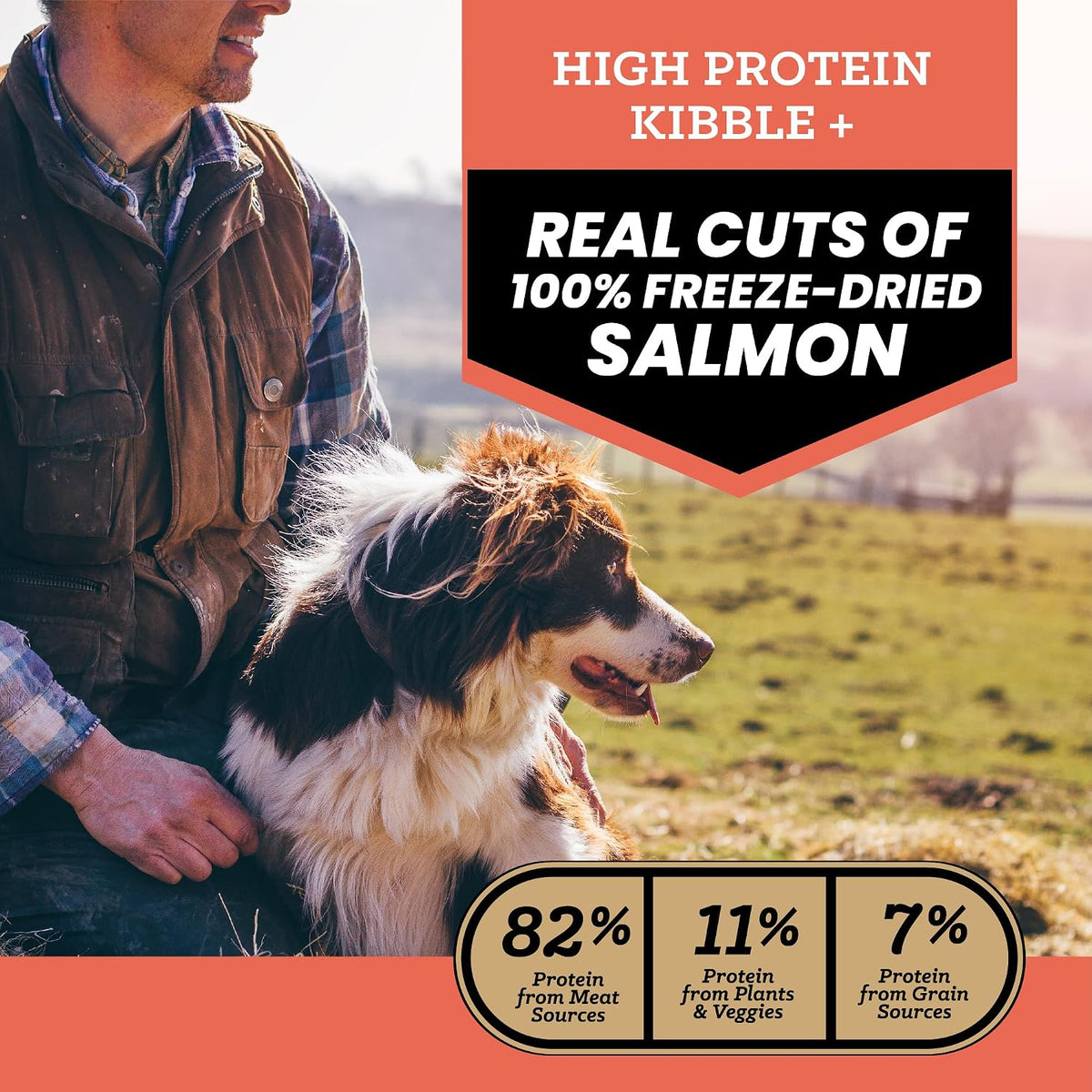 Raw Kibble Blend - Farm Chicken Freeze-Dried Dry Dog Food, 4 lb