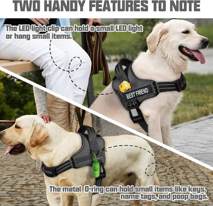 AUROTH Dog Harness and Leash Set for Medium Sized Dog, No Pull Dog Vest