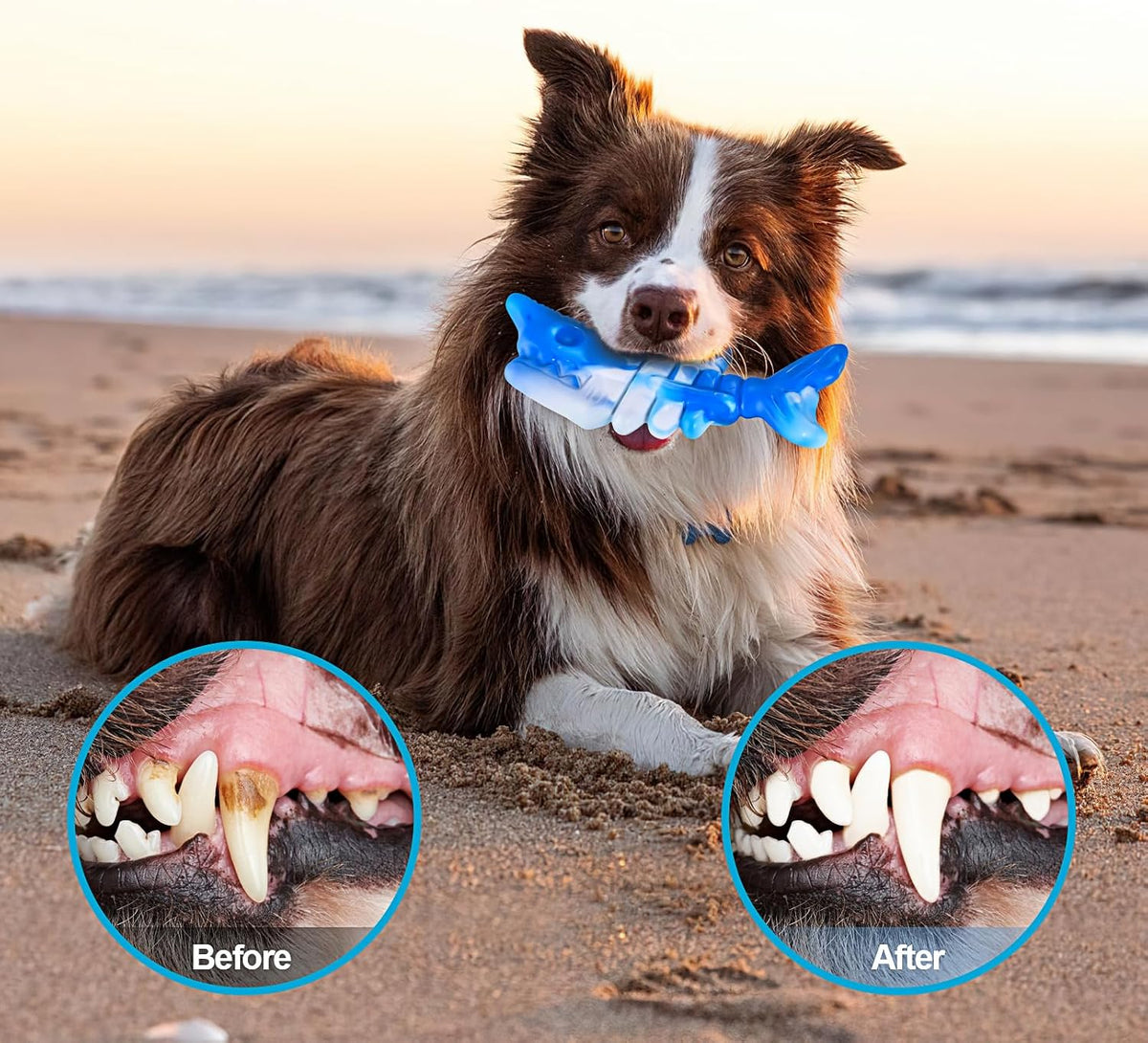 Indestructible Dog Toys for Aggressive Chewers, Extreme Tough Toys for Large Dogs, Real Beef Flavored, Dog Bone for Medium/Large Dogs Breed, Gifts for Dogs