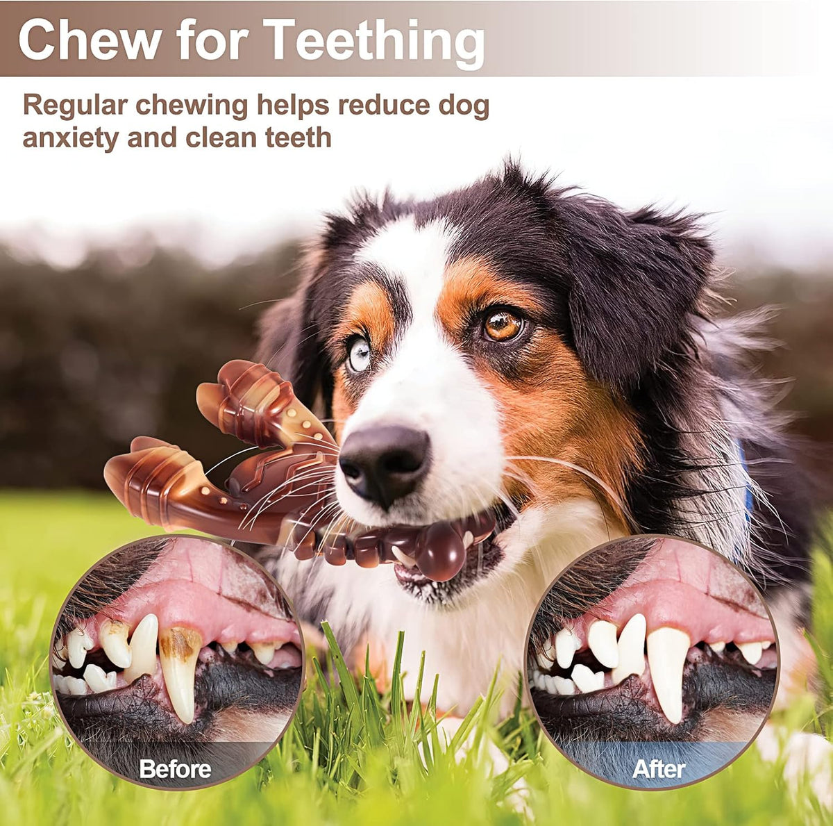 Indestructible Dog Toys for Aggressive Chewers, Extreme Tough Toys for Large Dogs, Real Beef Flavored, Dog Bone for Medium/Large Dogs Breed, Gifts for Dogs