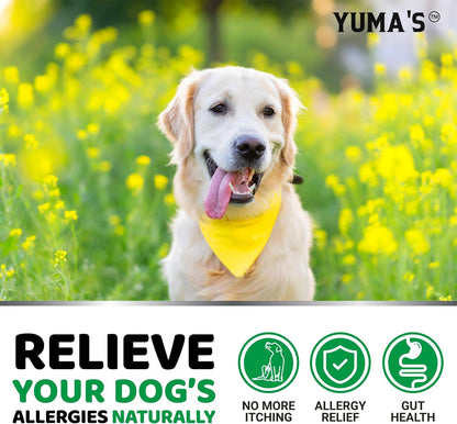 Dog Allergy Chews for Itchy Skin - 240 Treats - Anti-Itch Immune Relief