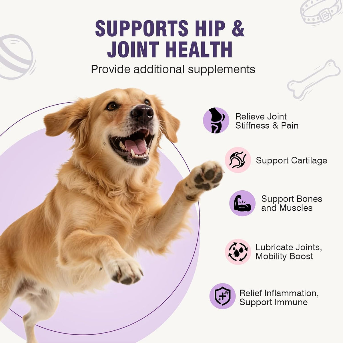 Joint Supplement for Dogs 200 ct, Glucosamine Chondroitin MSM for All Dogs