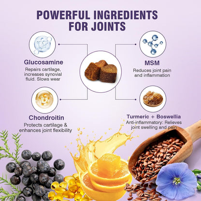 Joint Supplement for Dogs 200 ct, Glucosamine Chondroitin MSM for All Dogs