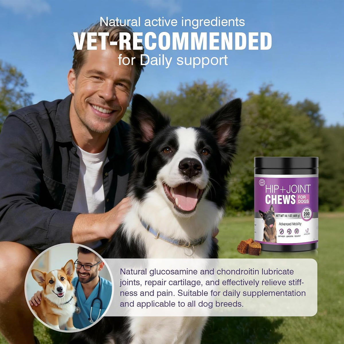 Joint Supplement for Dogs 200 ct, Glucosamine Chondroitin MSM for All Dogs