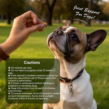 Joint Supplement for Dogs 200 ct, Glucosamine Chondroitin MSM for All Dogs