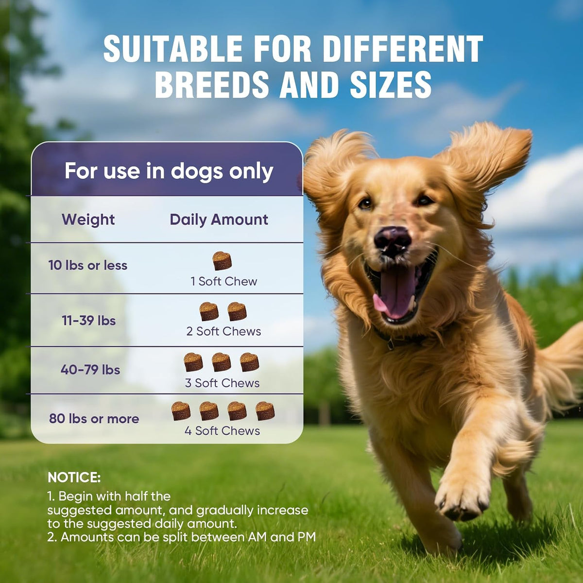 Joint Supplement for Dogs 200 ct, Glucosamine Chondroitin MSM for All Dogs