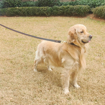 Leather Dog Leash 6 ft x 1 inch,Strong and Soft Heavy Duty Genuine Leather Dog Leash for Large, Medium, Small Dogs Premium Leather Leash for Dogs
