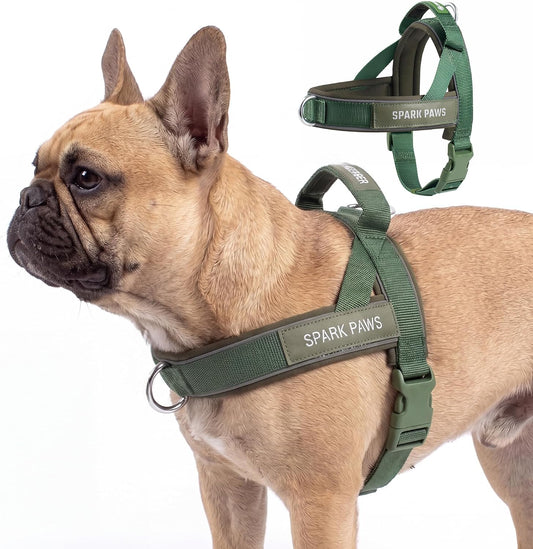 No Pull Front Clip Dog Harness - Easy On, Padded and Lightweight