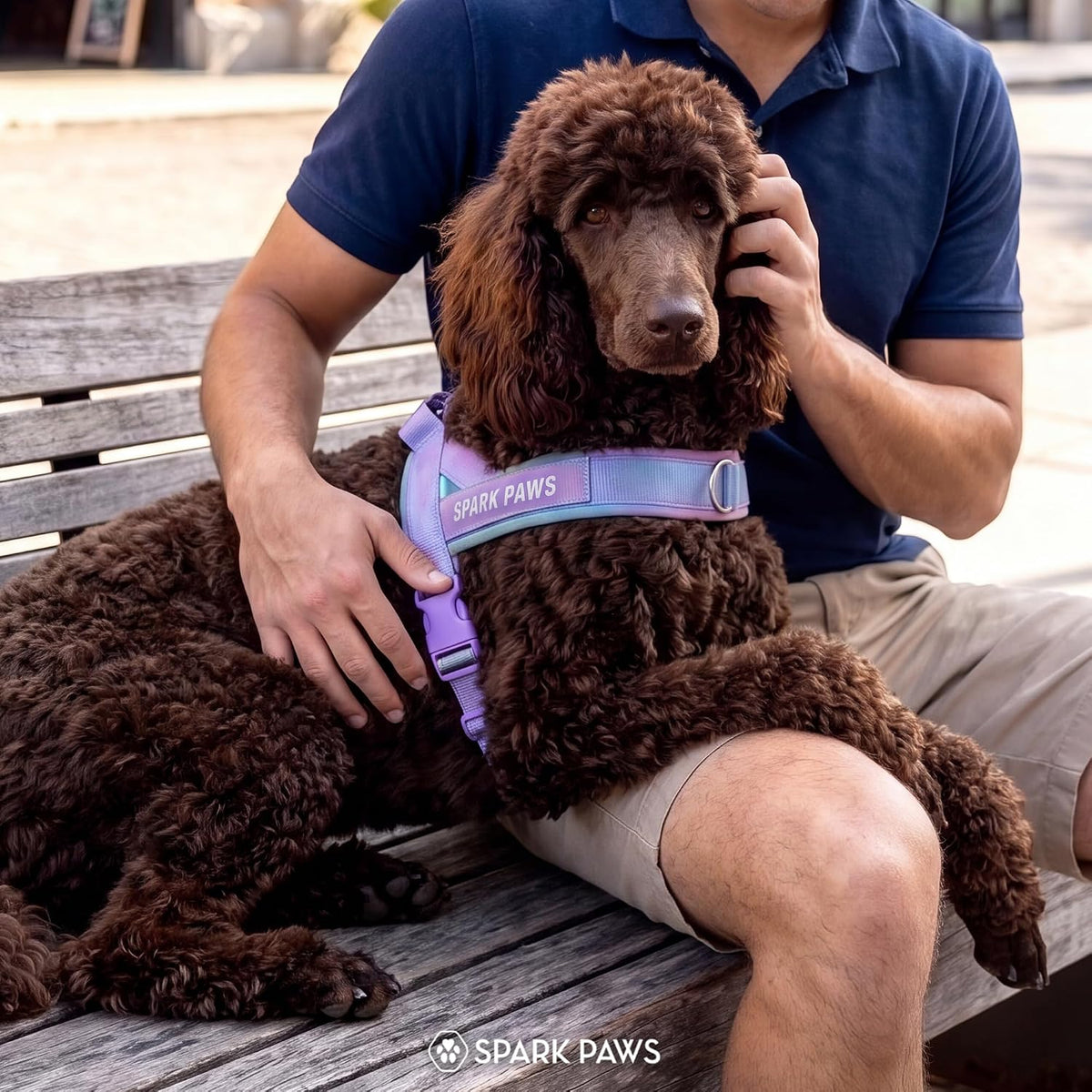 No Pull Front Clip Dog Harness - Easy On, Padded and Lightweight
