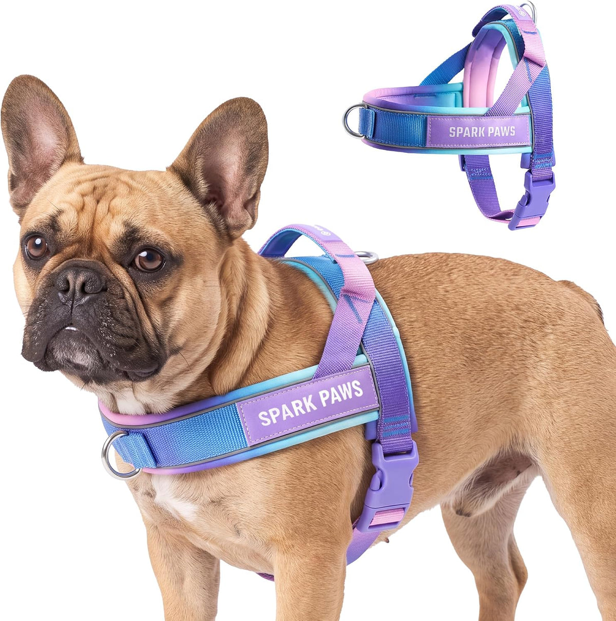 No Pull Front Clip Dog Harness - Easy On, Padded and Lightweight
