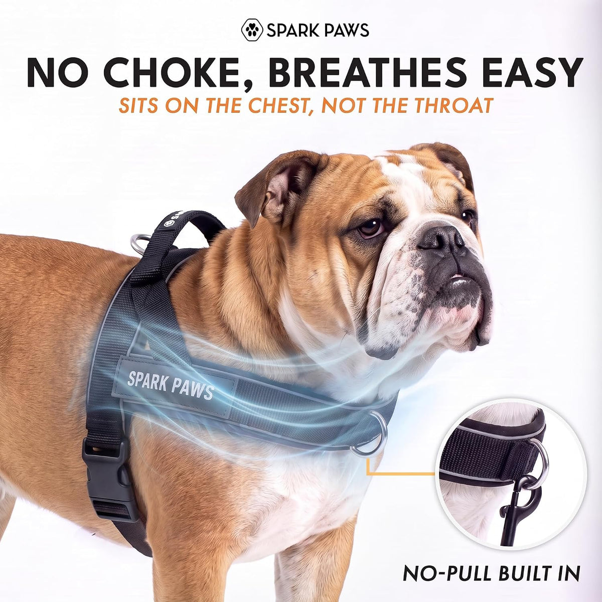 No Pull Front Clip Dog Harness - Easy On, Padded and Lightweight