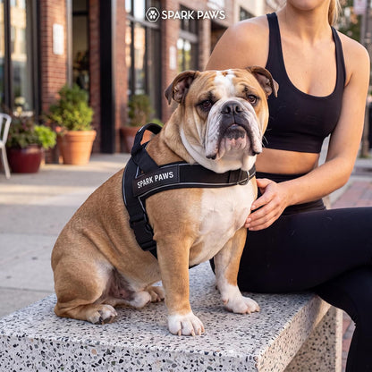 No Pull Front Clip Dog Harness - Easy On, Padded and Lightweight