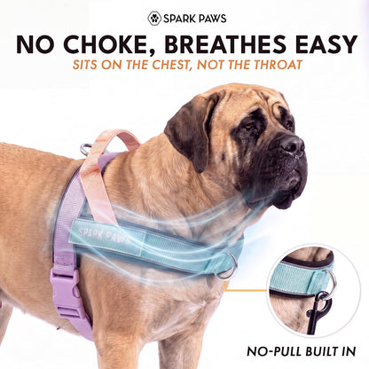 No Pull Front Clip Dog Harness - Easy On, Padded and Lightweight