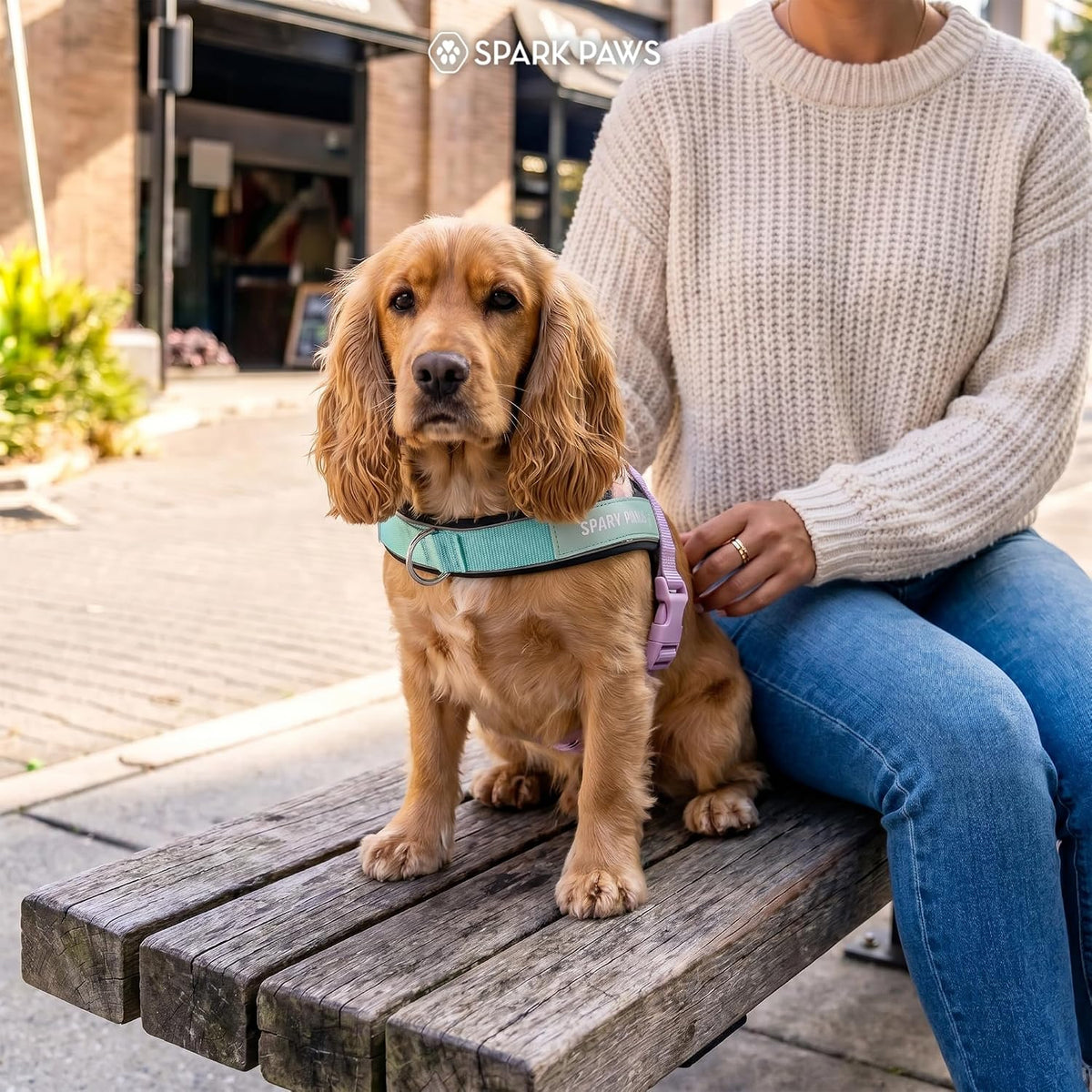 No Pull Front Clip Dog Harness - Easy On, Padded and Lightweight