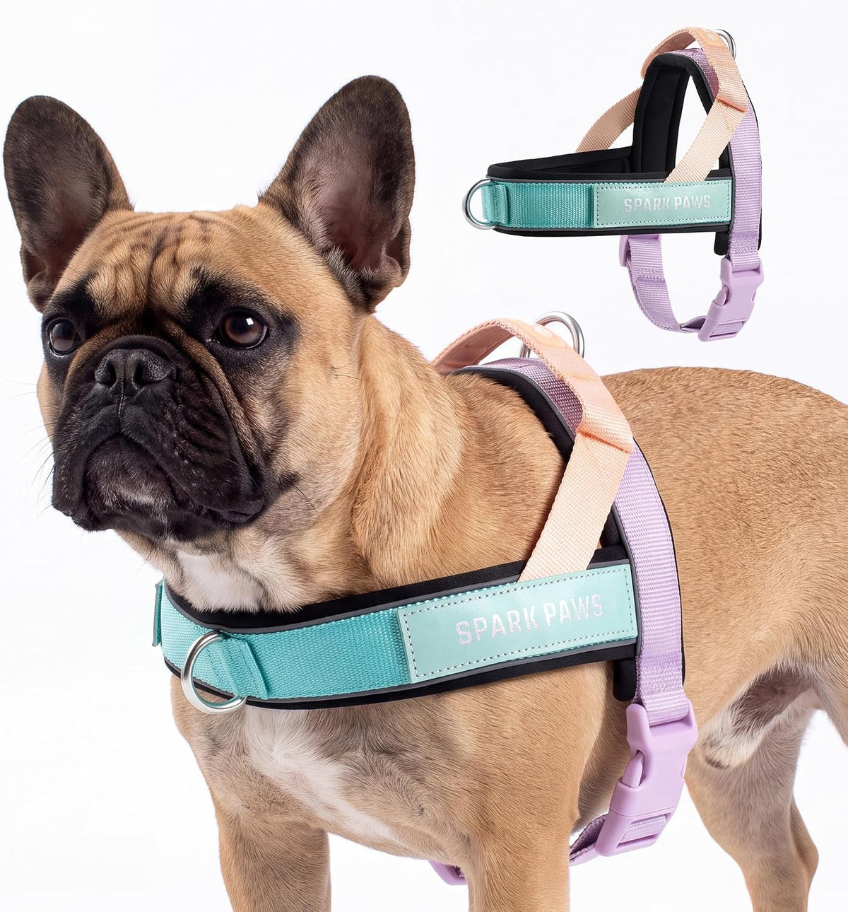 No Pull Front Clip Dog Harness - Easy On, Padded and Lightweight