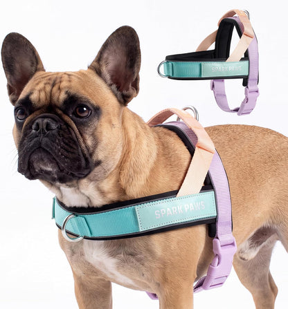 No Pull Front Clip Dog Harness - Easy On, Padded and Lightweight