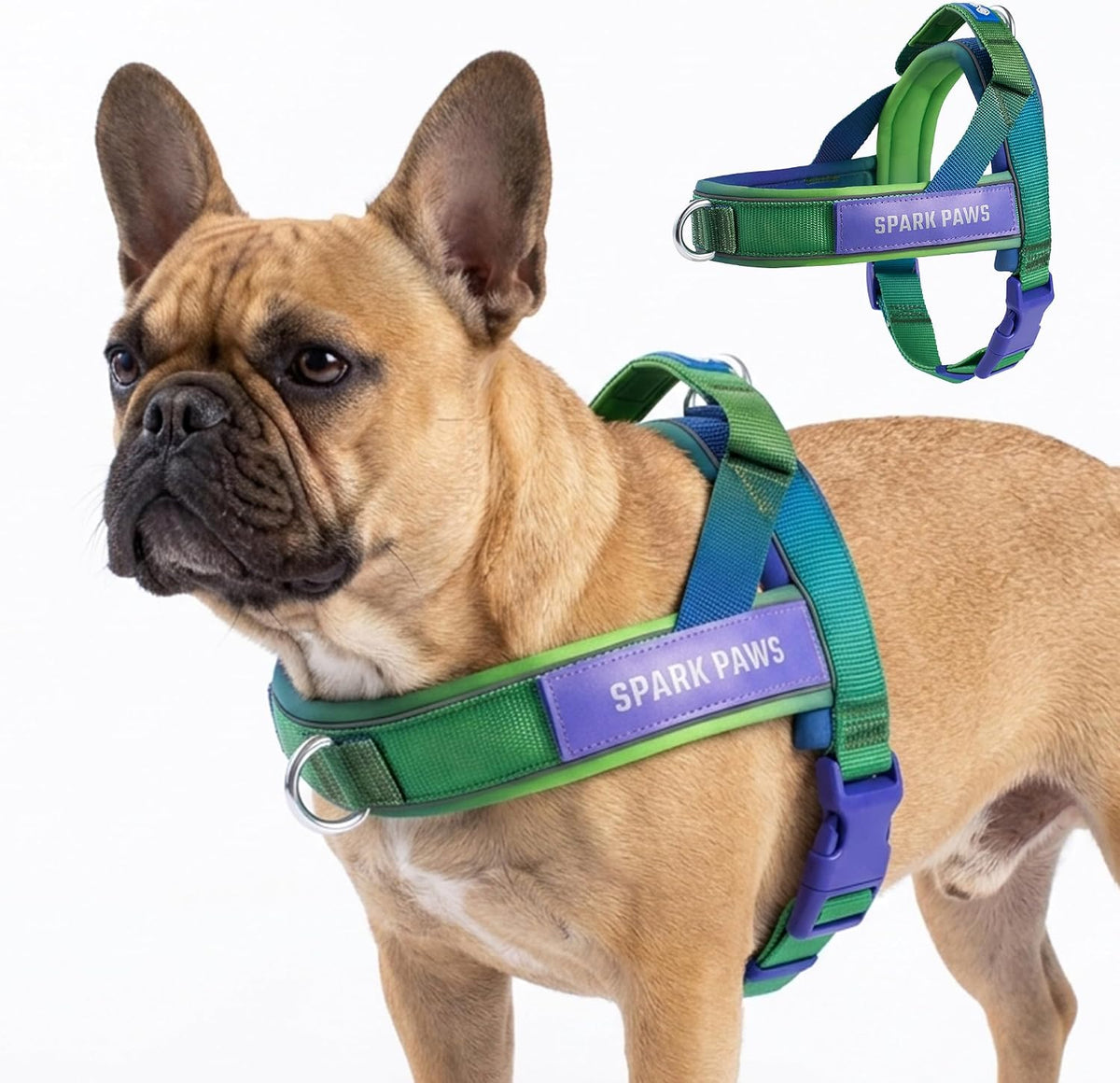 No Pull Front Clip Dog Harness - Easy On, Padded and Lightweight