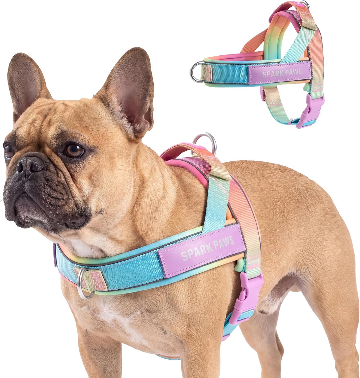 No Pull Front Clip Dog Harness - Easy On, Padded and Lightweight
