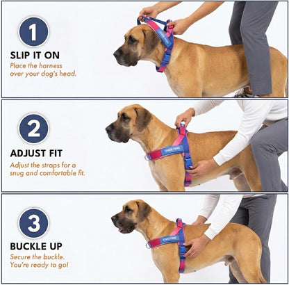 No Pull Front Clip Dog Harness - Easy On, Padded and Lightweight