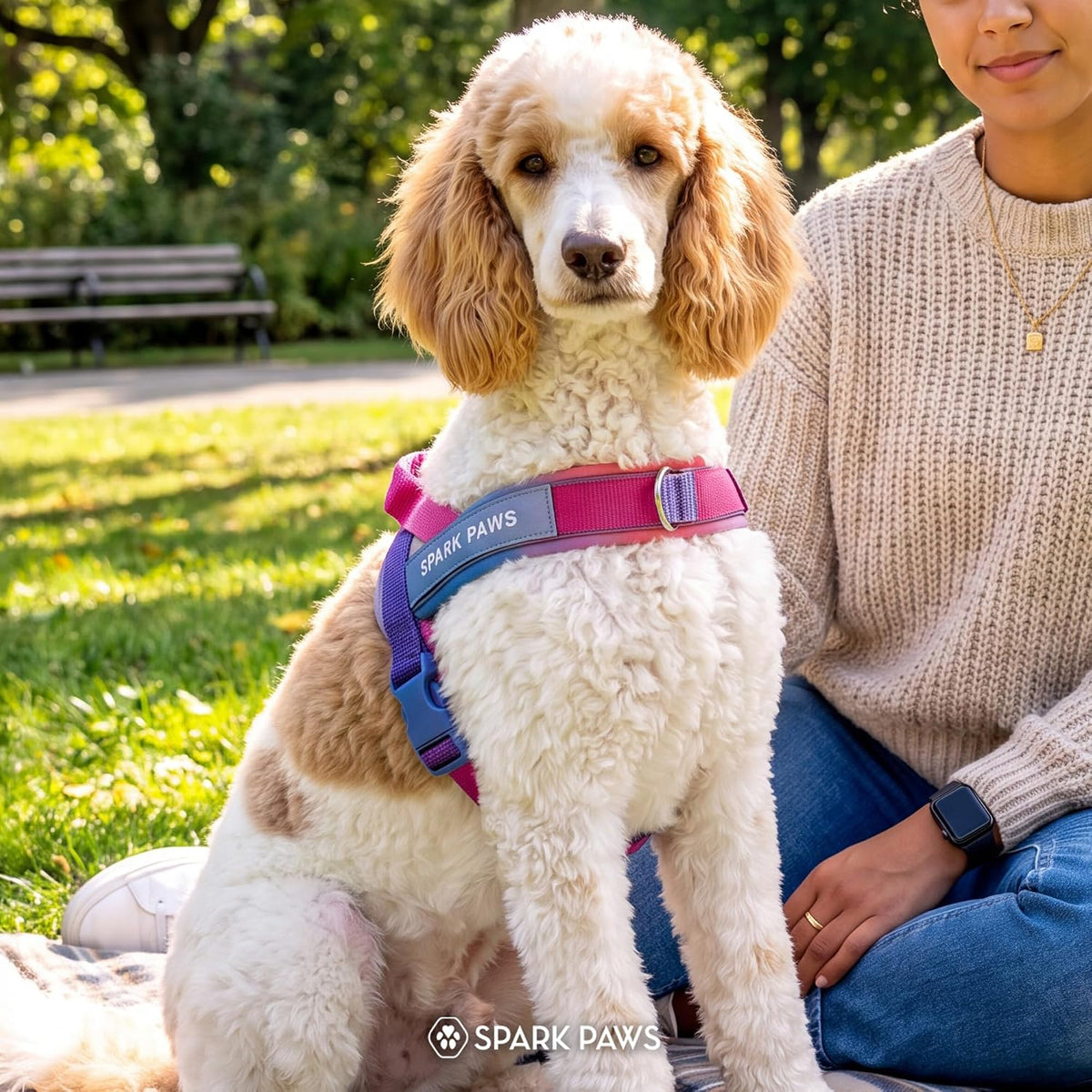 No Pull Front Clip Dog Harness - Easy On, Padded and Lightweight