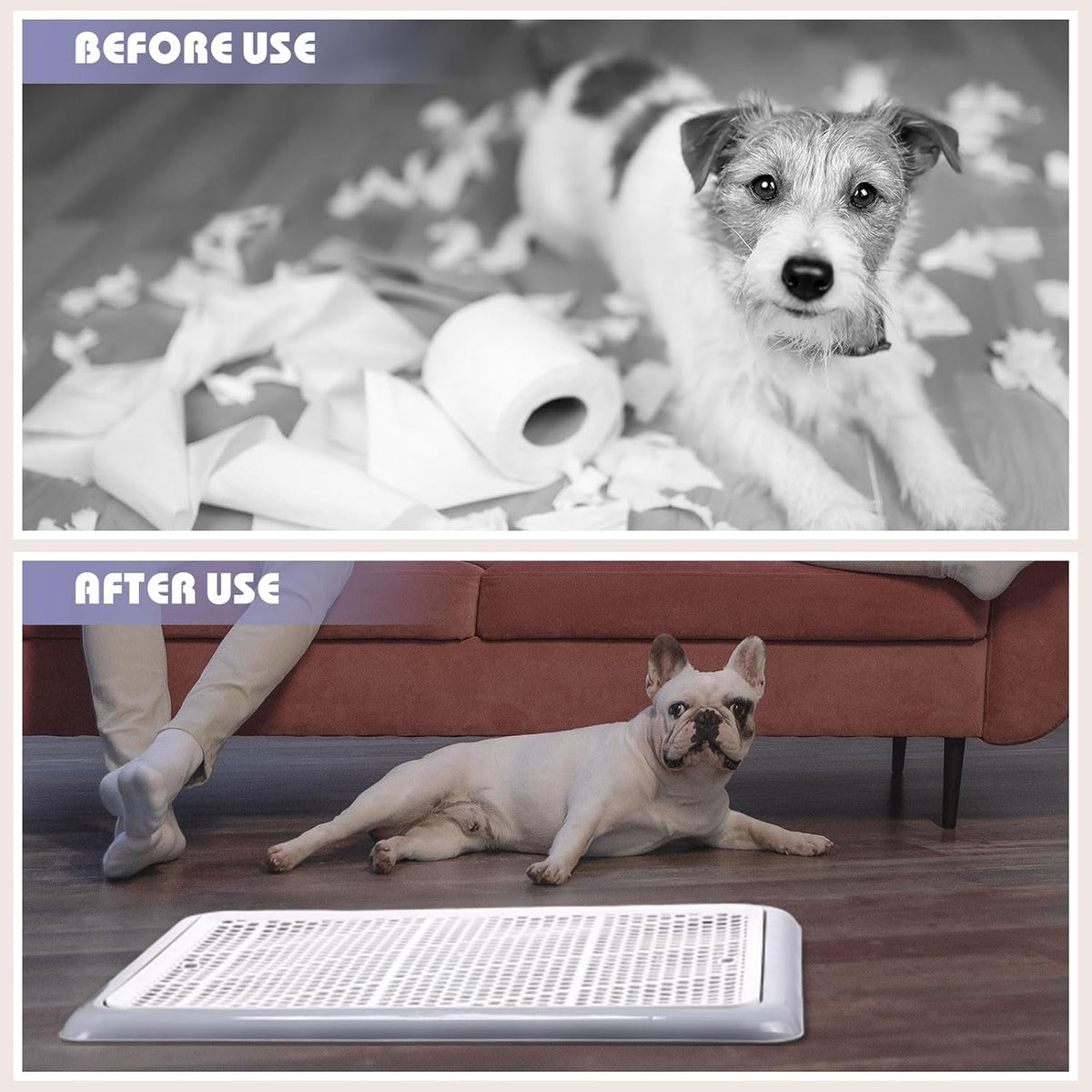 Dog Pee Pad Holder Tray with Mesh Potty Training, 19.69 x 14.17 Inch