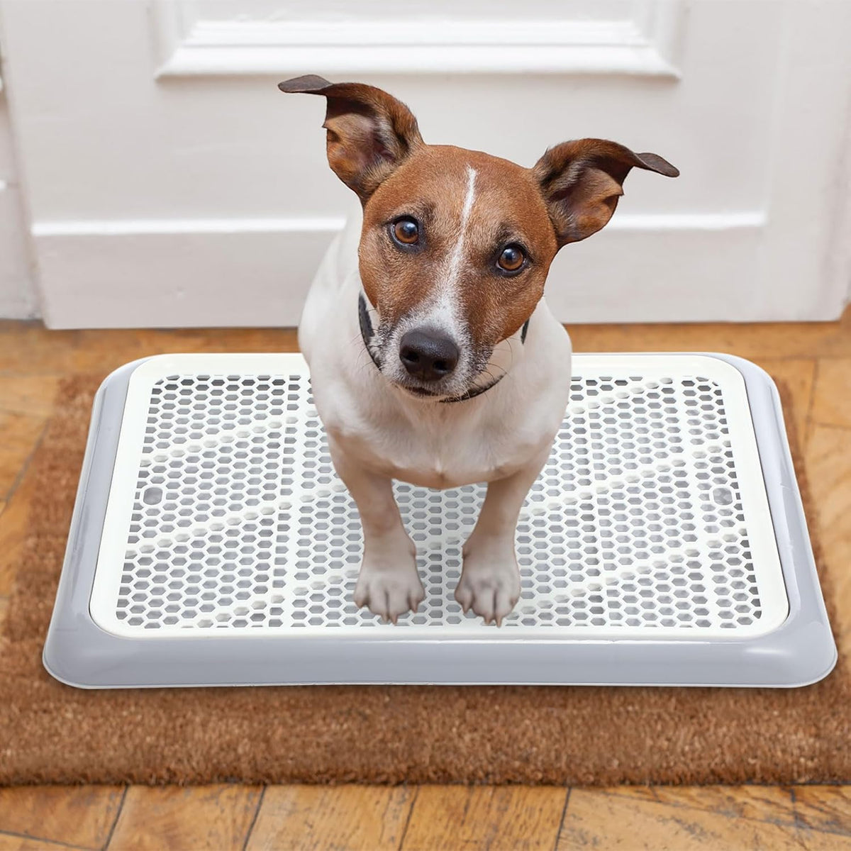 Dog Pee Pad Holder Tray with Mesh Potty Training, 19.69 x 14.17 Inch