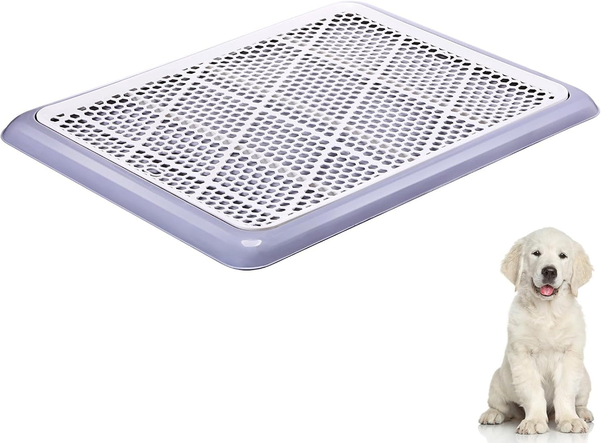 Dog Pee Pad Holder Tray with Mesh Potty Training, 19.69 x 14.17 Inch