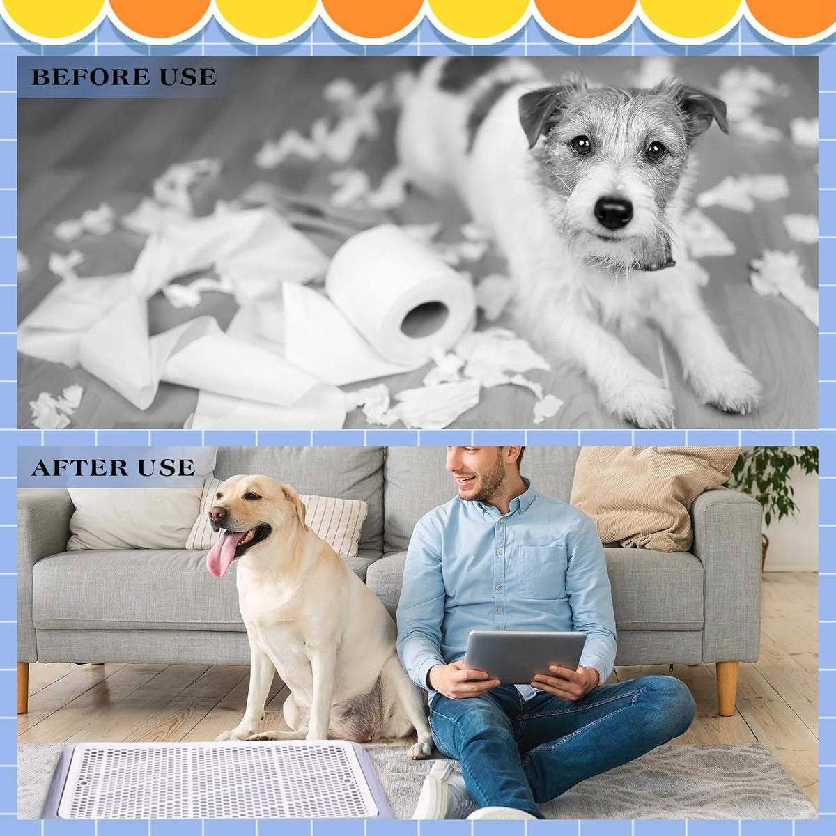 Dog Pee Pad Holder Tray with Mesh Potty Training, 19.69 x 14.17 Inch