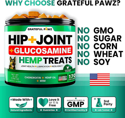 Hemp Hip and Joint Supplement for Dogs - Glucosamine for Dogs - 170 Count