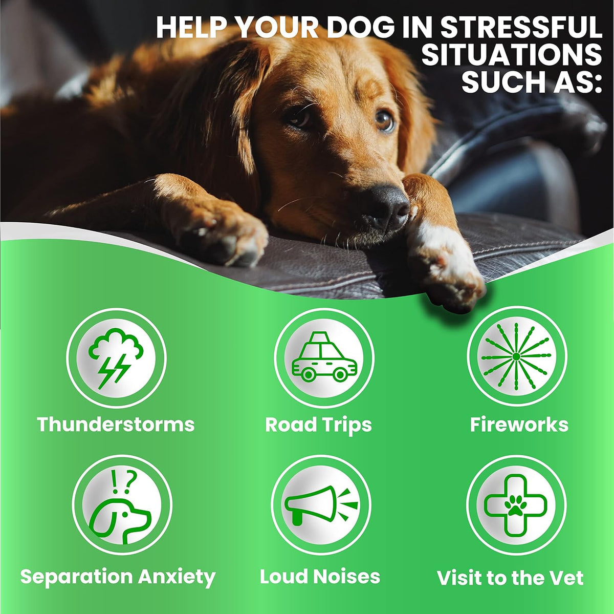 Hemp Hip and Joint Supplement for Dogs - Glucosamine for Dogs - 170 Count