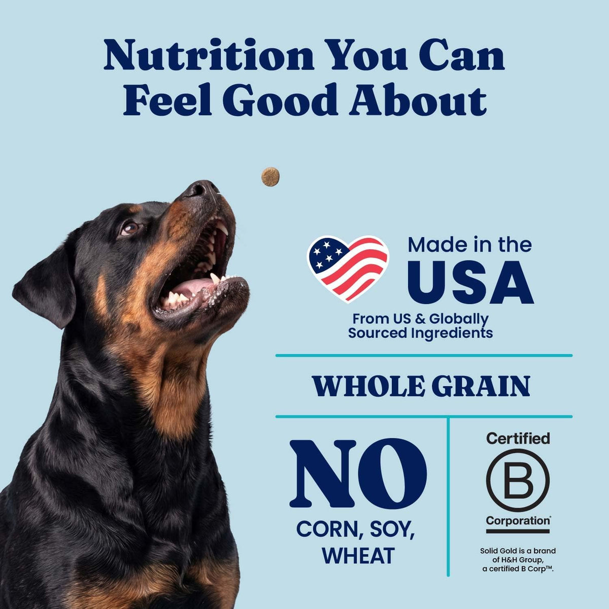 Solid Gold Lamb Dry Dog Food for Adult & Senior Dogs, Probiotics, 22LB