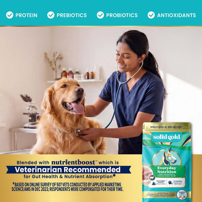 Solid Gold Lamb Dry Dog Food for Adult & Senior Dogs, Probiotics, 22LB