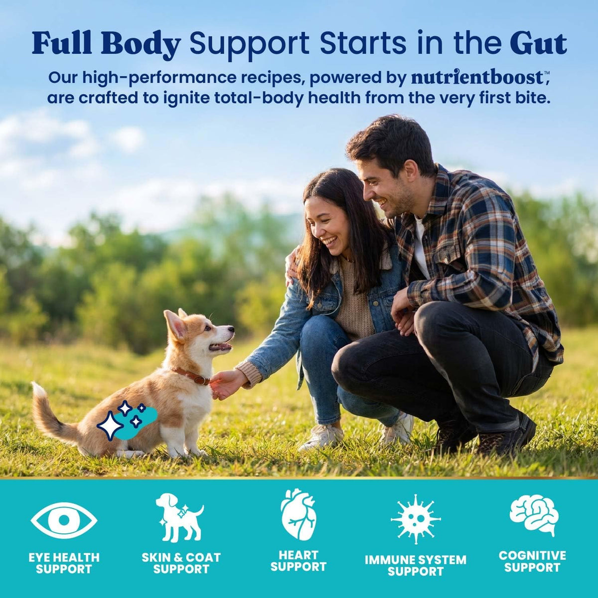 Solid Gold Lamb Dry Dog Food for Adult & Senior Dogs, Probiotics, 22LB