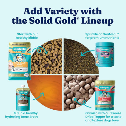 Solid Gold Lamb Dry Dog Food for Adult & Senior Dogs, Probiotics, 22LB