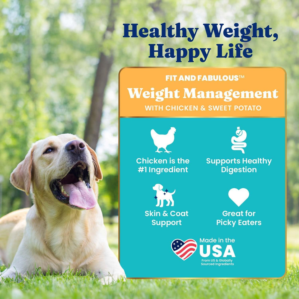Solid Gold Lamb Dry Dog Food for Adult & Senior Dogs, Probiotics, 22LB