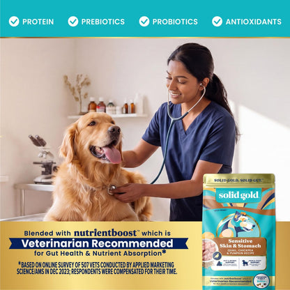Solid Gold Lamb Dry Dog Food for Adult & Senior Dogs, Probiotics, 22LB
