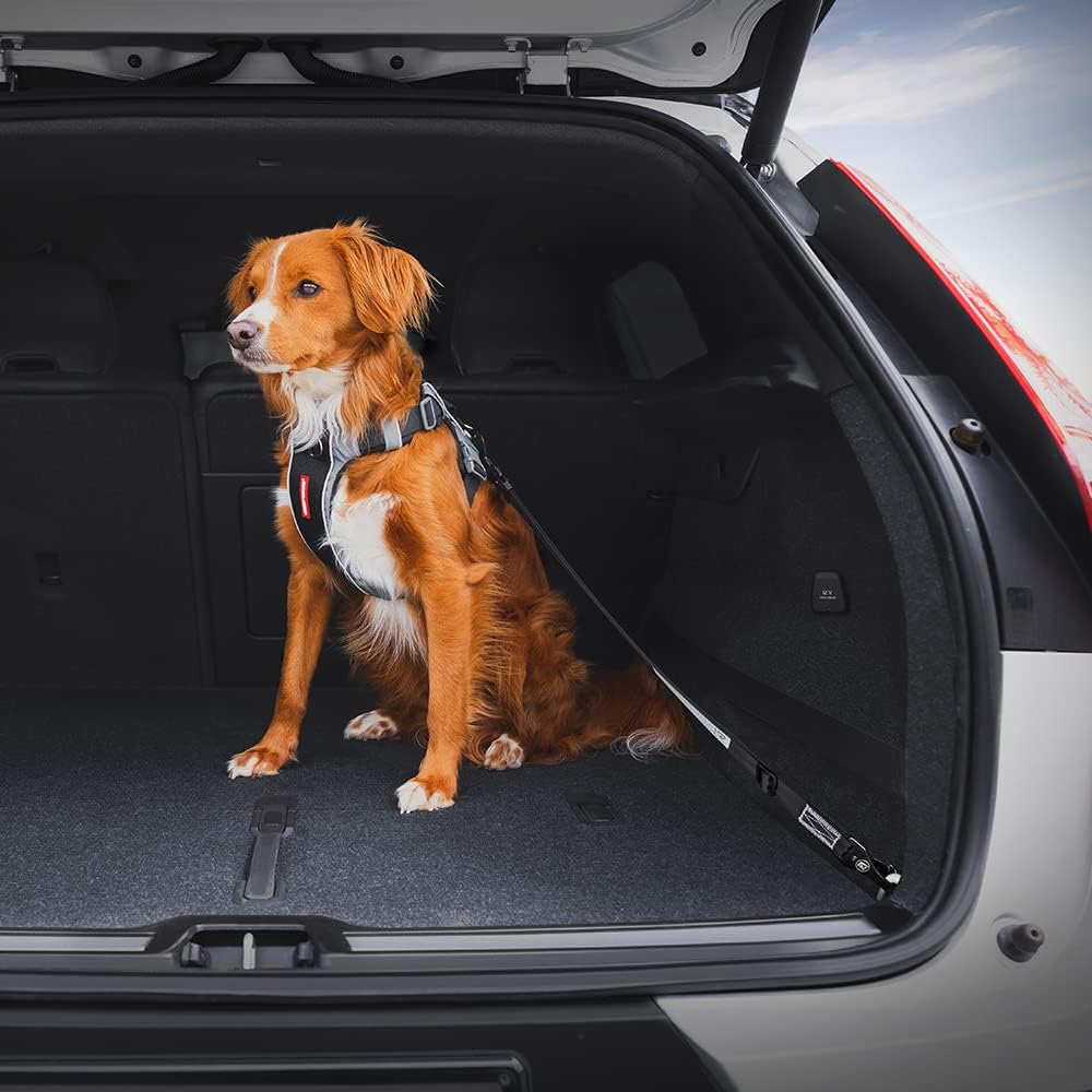 Click - Dog Seat Belt Car Restraint - 17in - 26in