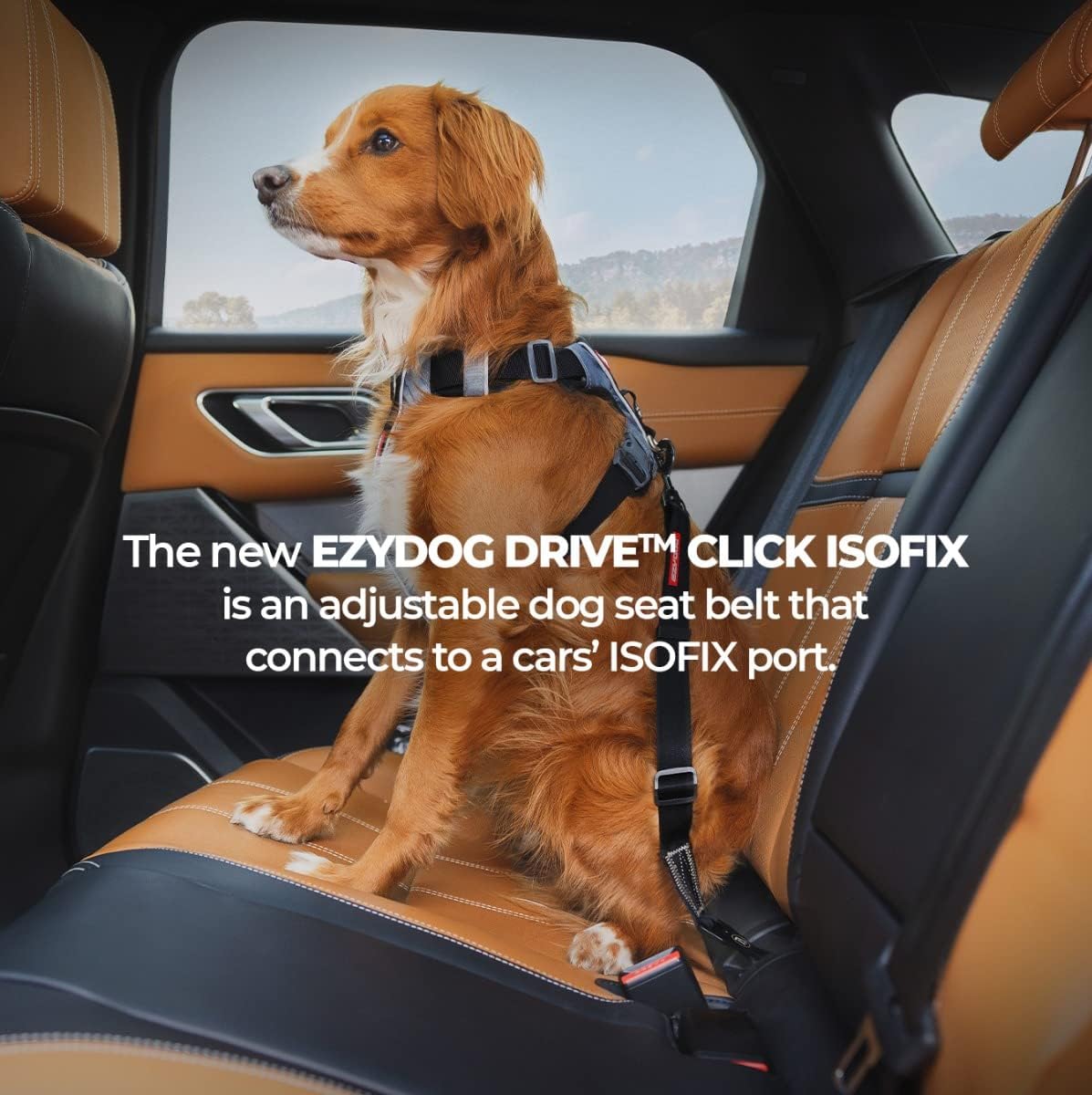 Click - Dog Seat Belt Car Restraint - 17in - 26in