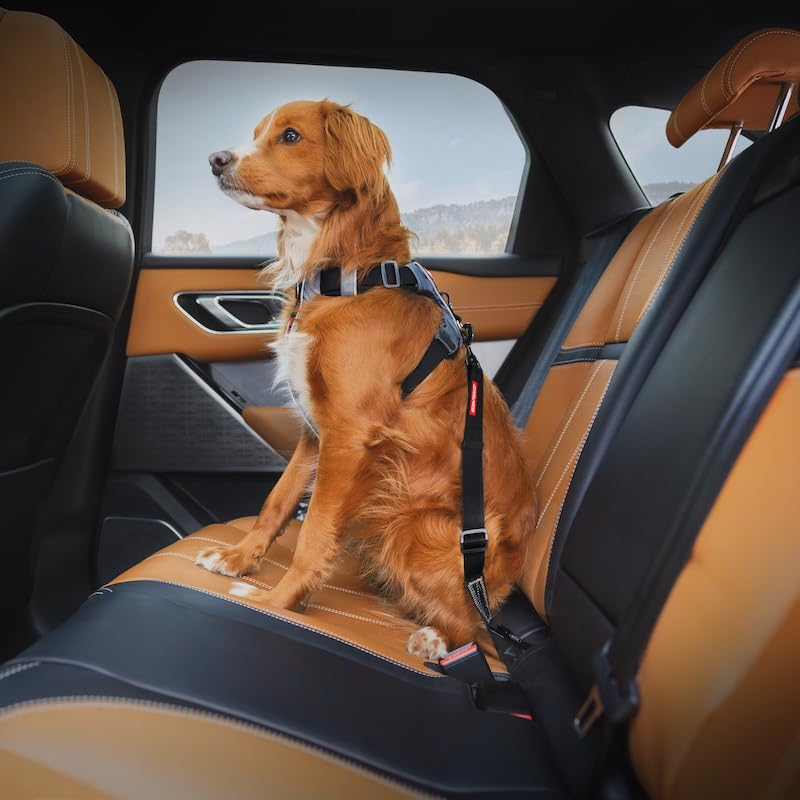 Click - Dog Seat Belt Car Restraint - 17in - 26in